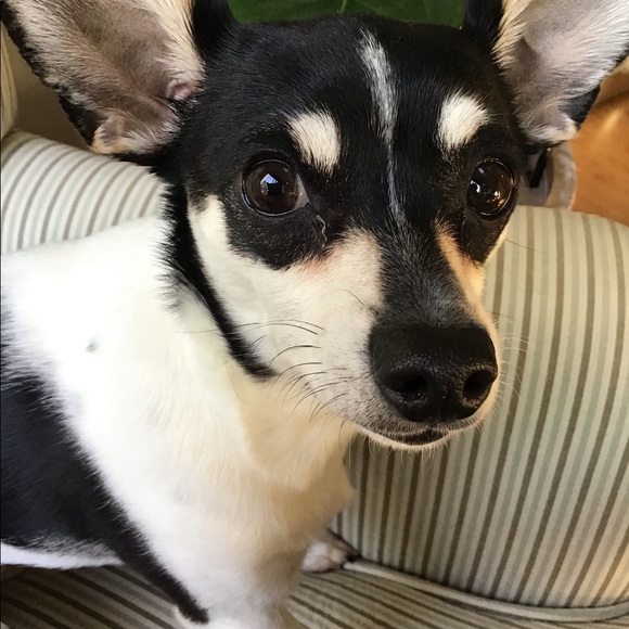 Meet your Posher, Kelli - Picture 1 of 1